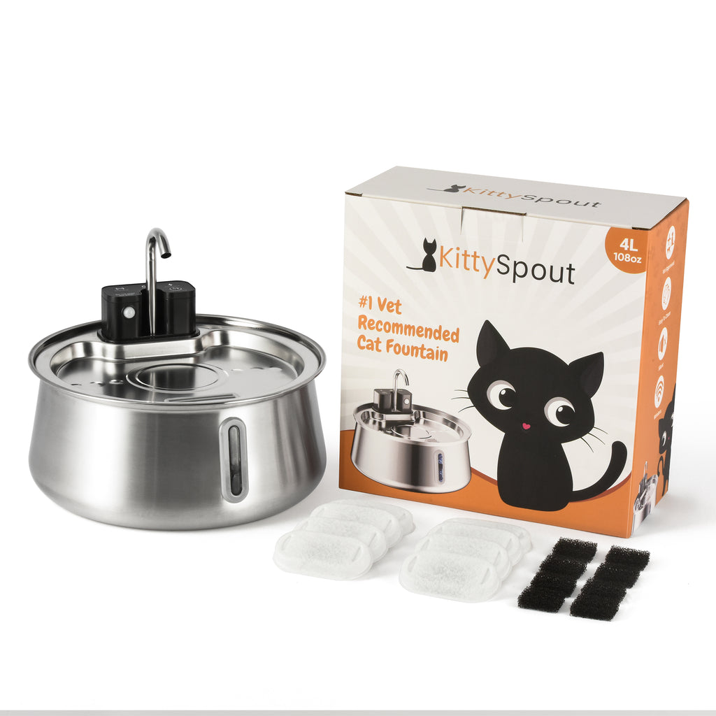 El kit Purrr-fect KittySpout