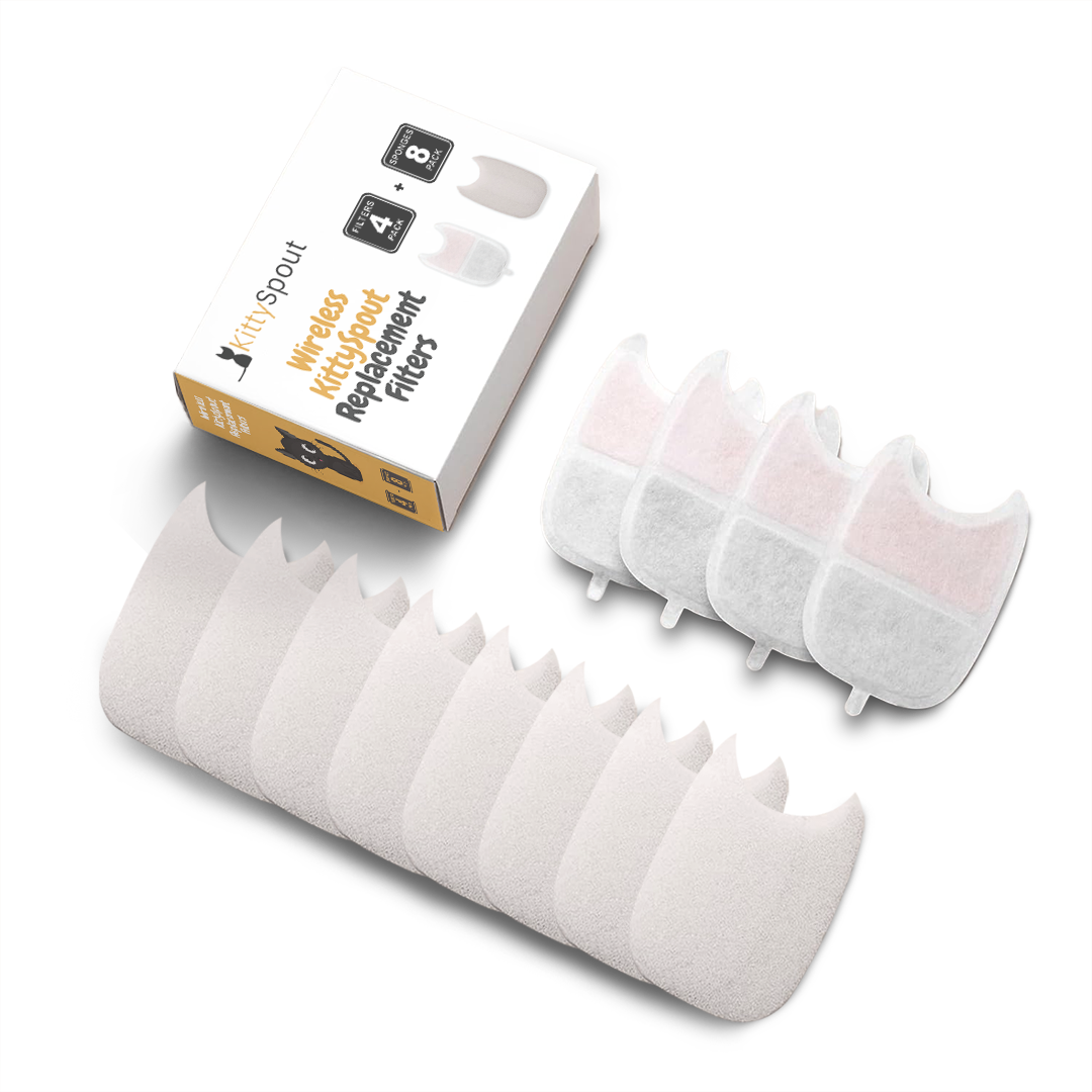 Box of KittySpout replacement filters with several individual filters displayed in front.