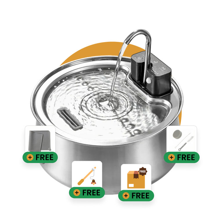 Ready to Improve Your Cat’s Hydration? Try KittySpout™ Risk-Free Today