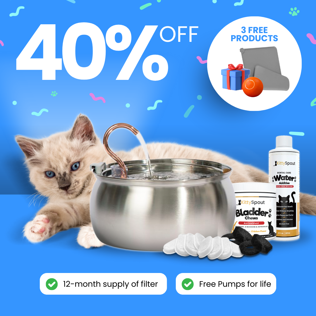 Cat by a stainless-steel water fountain with text offering 40% discount and 3 free products.