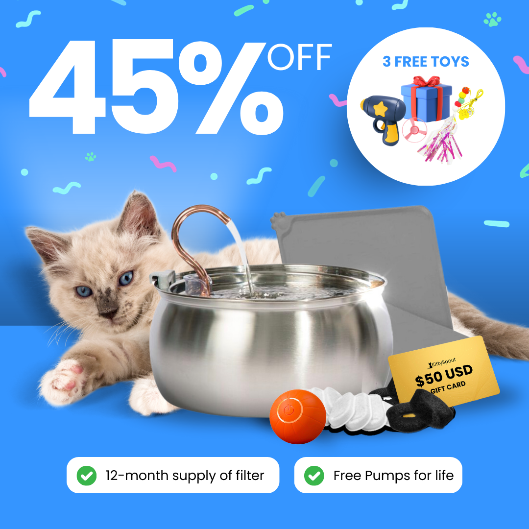 Cat drinking fountain with filters, gift card, and 45% off promotion.