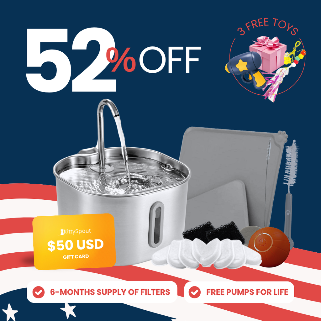 The KittySpout™ - 2.2L Hydration & Playtime Value Bundle