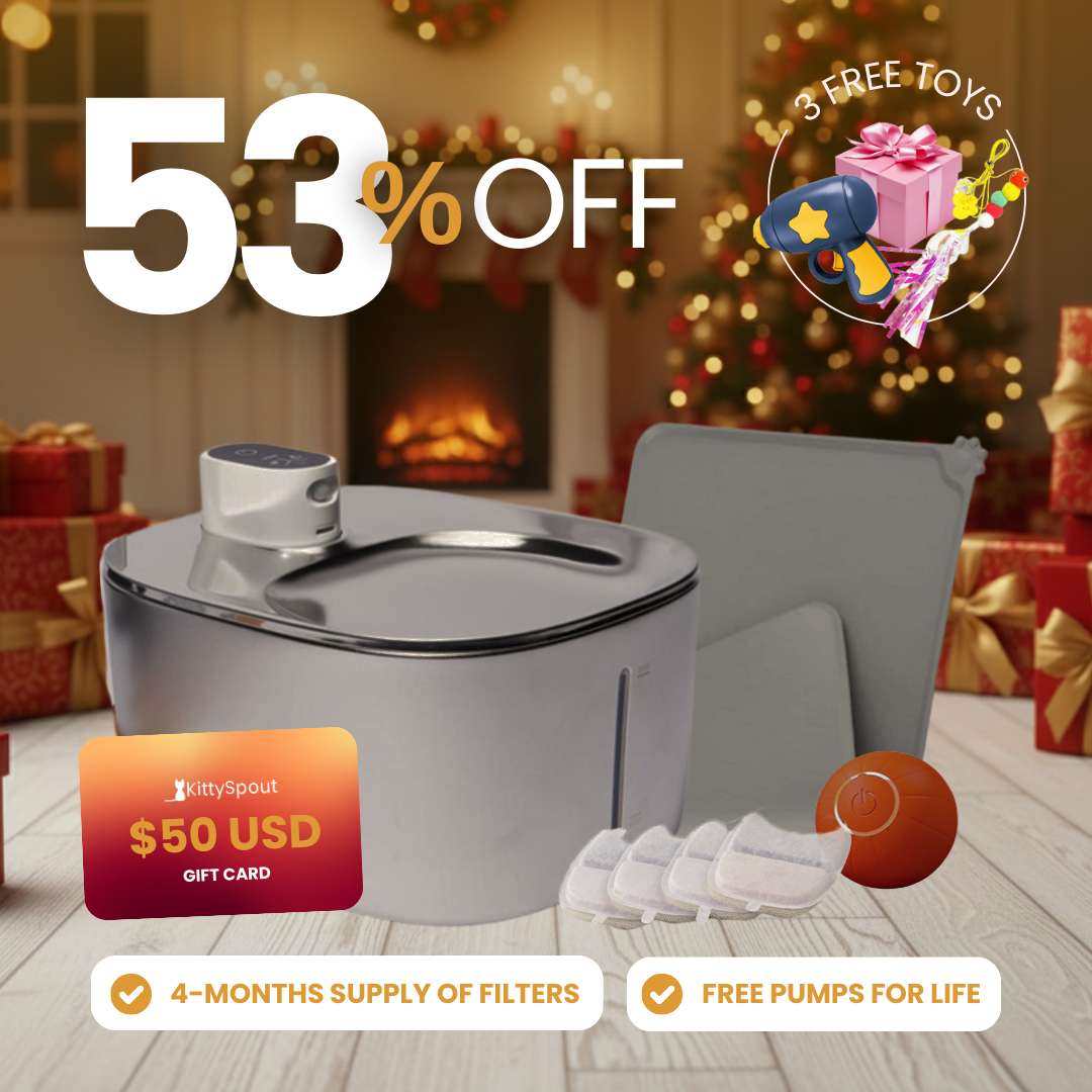 Paquete económico de hidratación y tiempo de juego