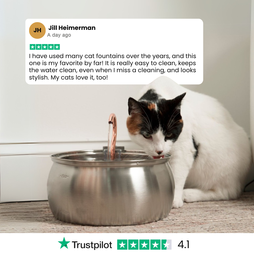 Kit de salud y felicidad para gatos The KittySpout™