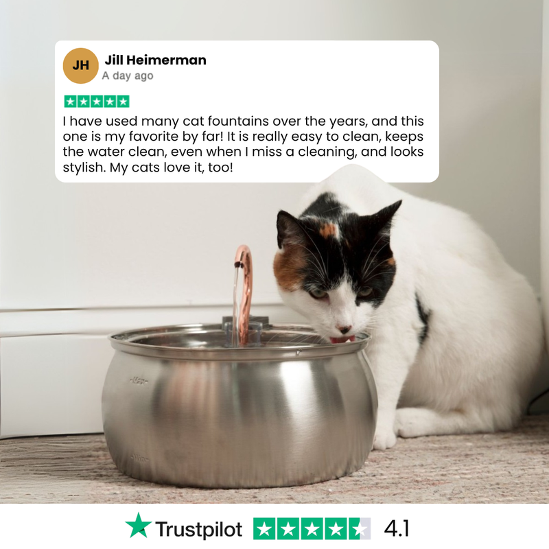 Der KittySpout™