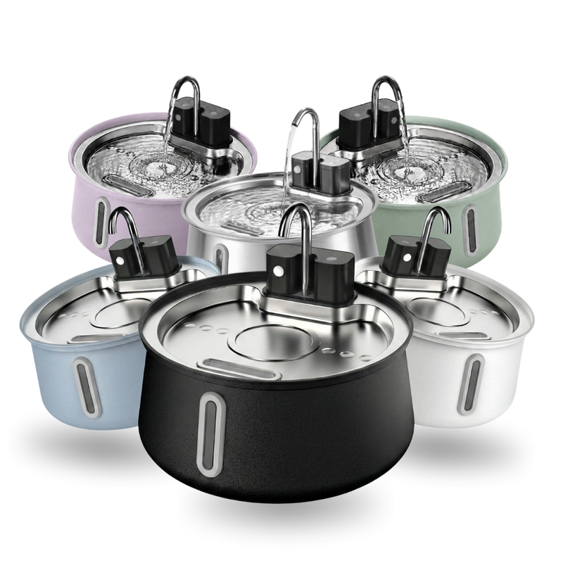 Ready to Improve Your Cat’s Hydration? Try KittySpout™ Risk-Free Today
