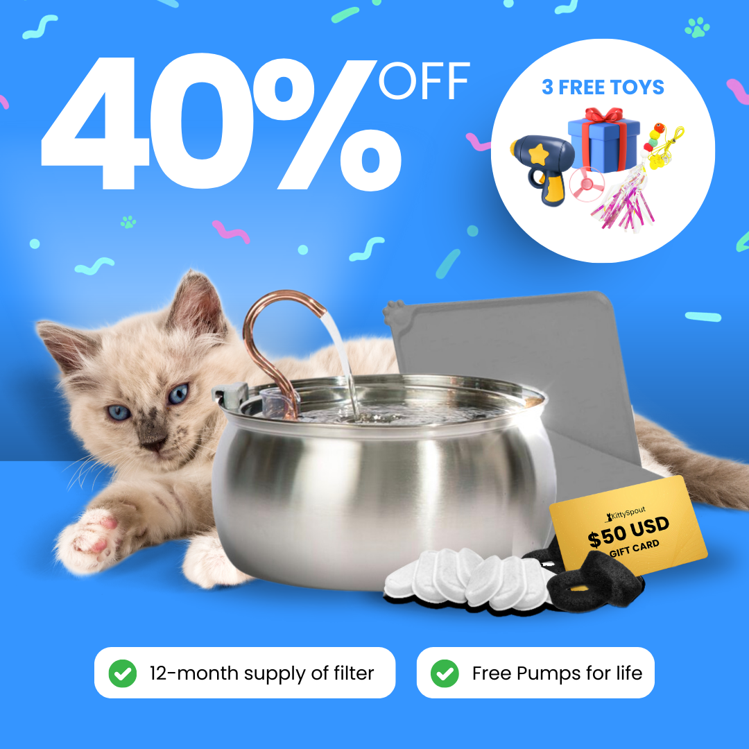 Cat with water fountain, 40% off, 3 free toys, filters, pump, and $50 gift card included.