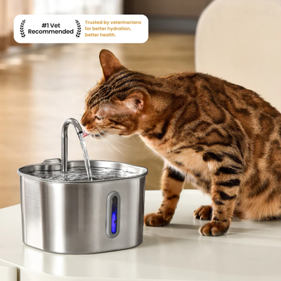 The KittySpout™ - 2.2L Fountain Health and Happiness Kit