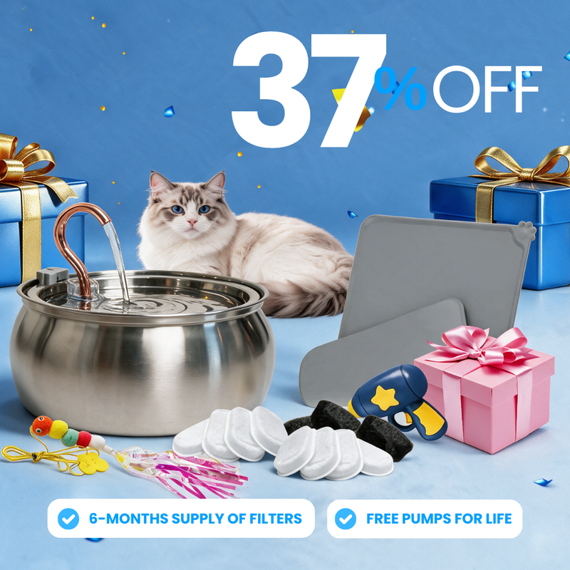 Purrrfect KittySpout Kit
