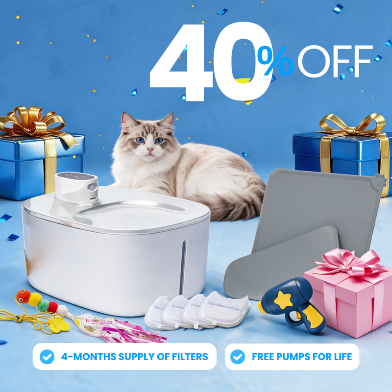 Purrrfect KittySpout Kit