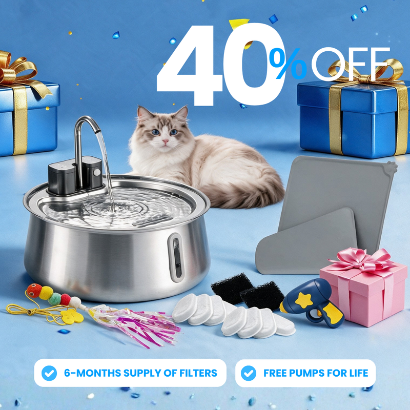 Purrrfect KittySpout Kit