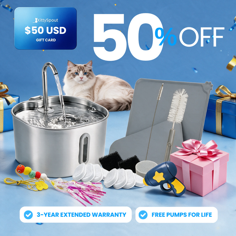 VIP Value Bundle