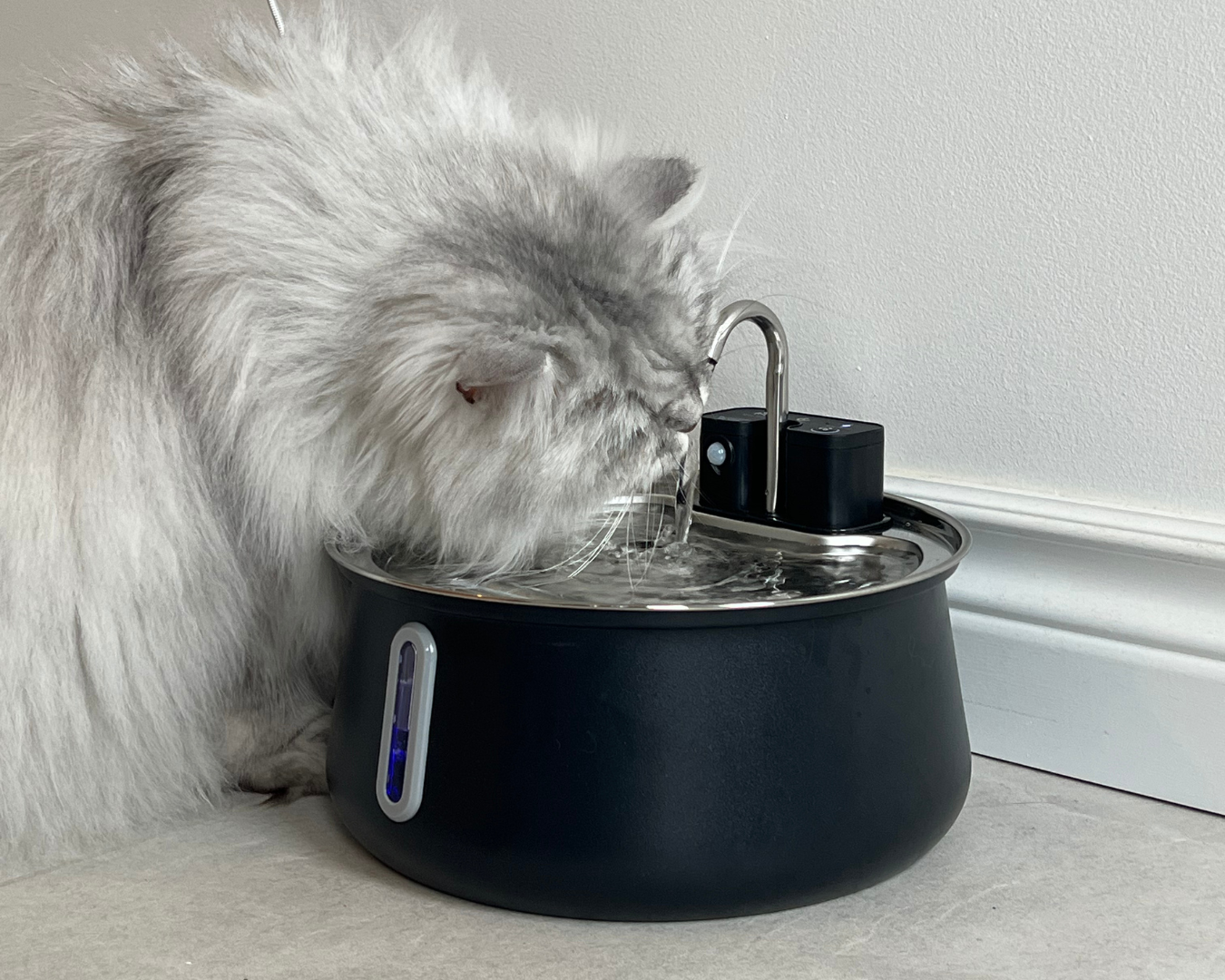 Ready to UpgradeYour Cat’s Water? 