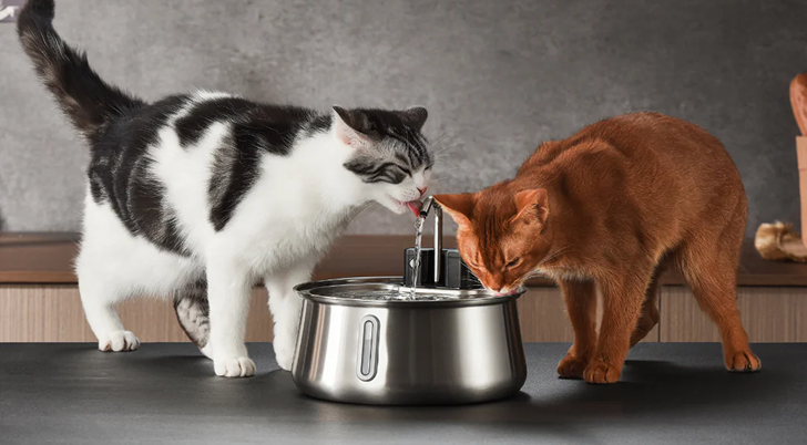 Lavabo ancho de 8.5 pulgadas — Cero contacto con los bigotes
