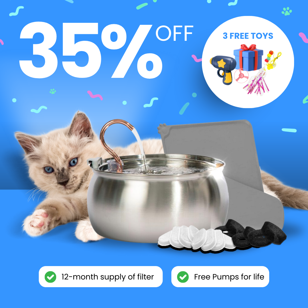 Cat beside stainless steel water fountain with 35% off, 3 free toys, filter supply, and free pumps.