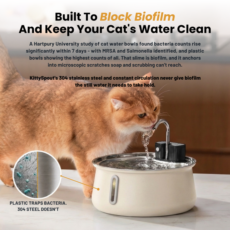 The KittySpout™ - Wireless Fountain 2.0