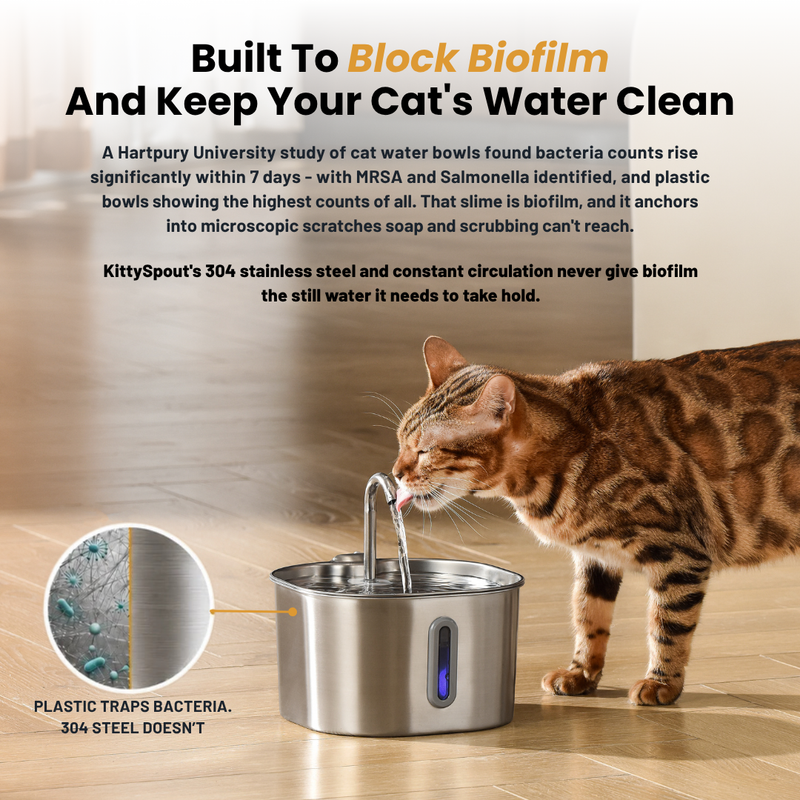 The KittySpout™ - 2.2L Fountain 2–month Kit