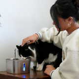 The KittySpout™ - 2.2L Fountain 2–month Kit thumbnail