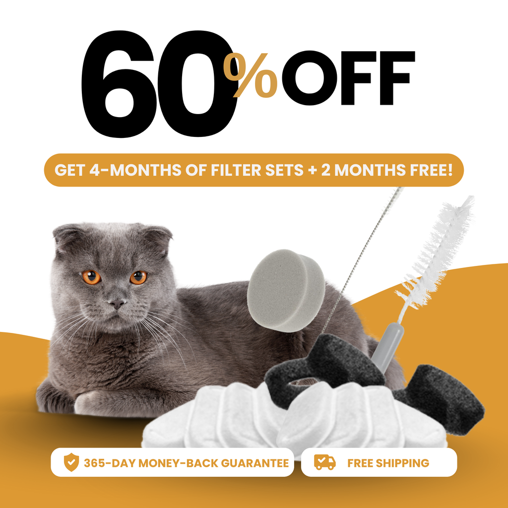 8 filtri KittySpout™ - 8 mesi di fornitura