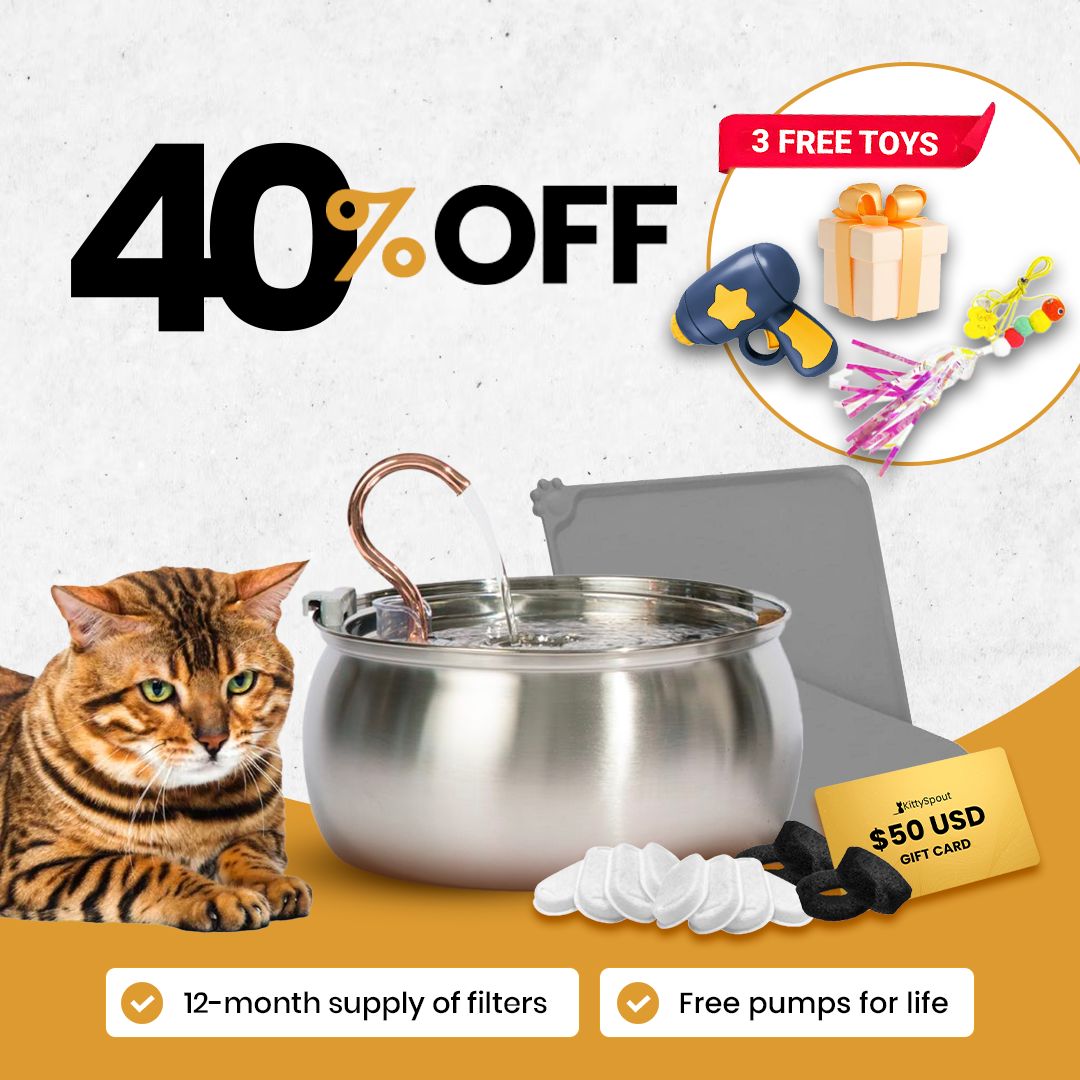 Cat water fountain with 40% off, free toys, filters, $50 gift card, and free pumps for life.