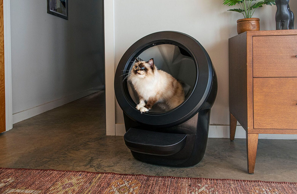 Participación en el sorteo de Litter-Robot 4