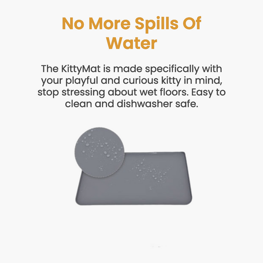 Wireless KittySpout Value Bundle