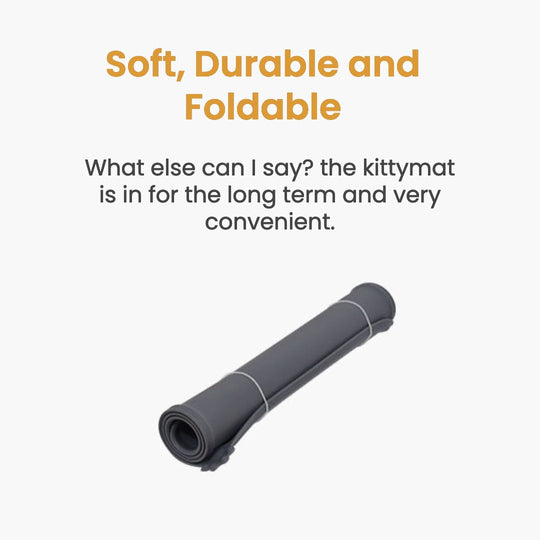 Wireless KittySpout Value Bundle