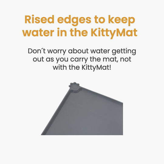 Wireless KittySpout Value Bundle