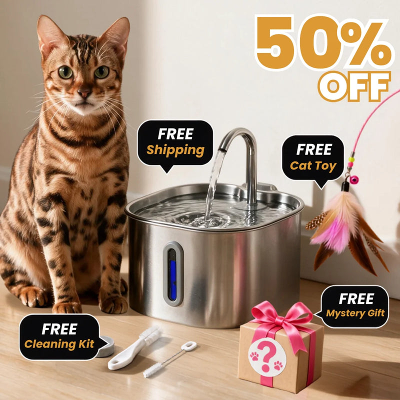 Der KittySpout™ – 2,2-Liter-Brunnen – 2-Monats-Kit