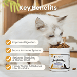 Masticables probióticos para gatos