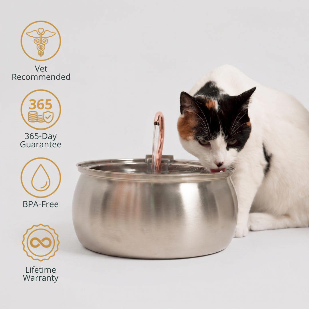KittySpout stainless steel fountain on a kitchen floor