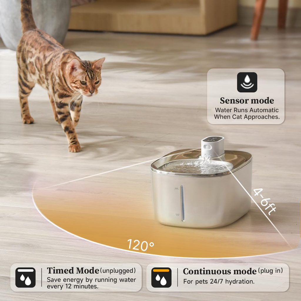 Like New The KittySpout - Wireless Fountain (Vet testimonials) - 1 Month: Wireless KittySpout + 2 filter sets