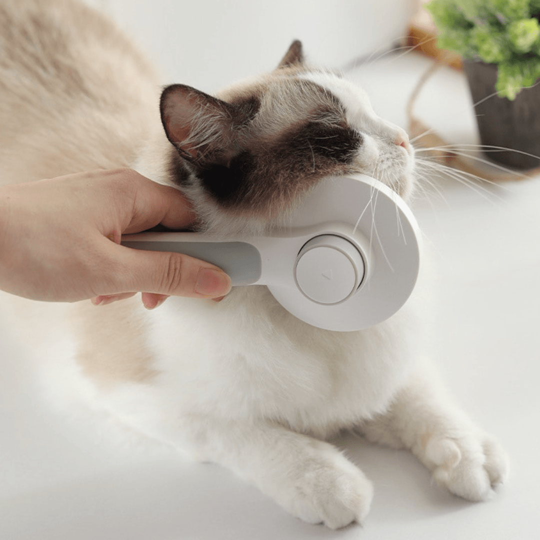 The KittyBrush™ - Anti-Shedding Cat Brush